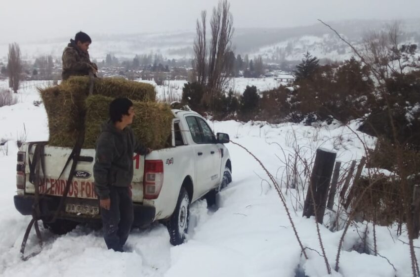  Provincia destinará 70 millones de pesos a municipios y comunas rurales afectadas por la contingencia climática