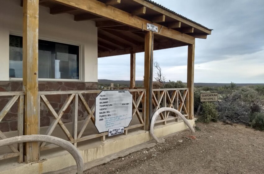  El Gobierno del Chubut llama a licitación para la ampliación y refacción del Área Natural Protegida Punta Loma