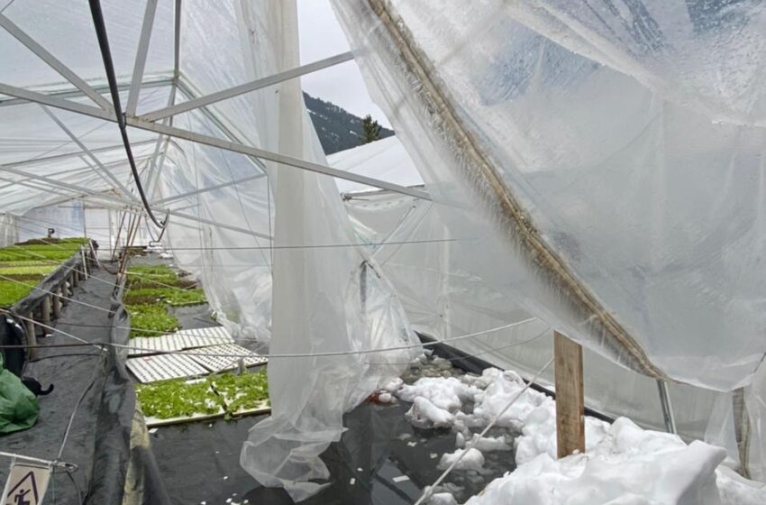  El Gobierno provincial recorrió emprendimientos de Epuyén afectados por el temporal de nieve