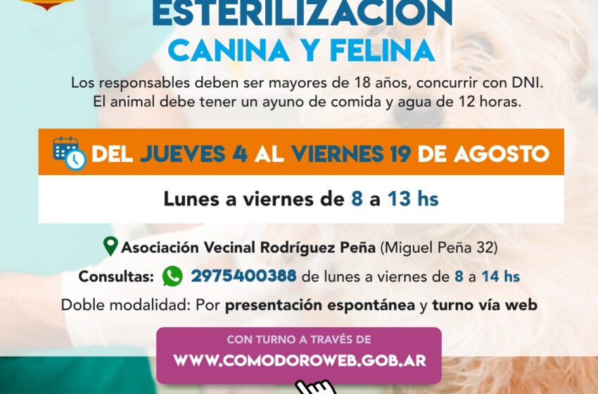  Así funcionará el cronograma de castración durante la semana