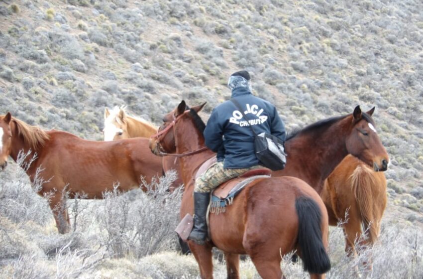  La Policía del Chubut continúa la búsqueda de José Crettón en la Comarca Andina