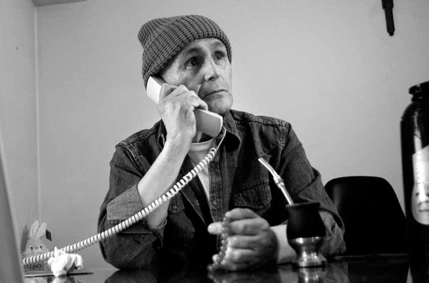  Desde este jueves se podrán ver cinco películas con entrada gratuita&nbsp;