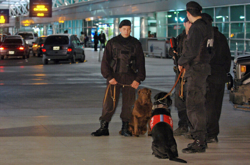  Venían de Brasil e iban a Ámsterdam