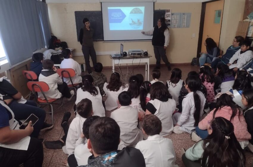  El Gobierno de Chubut dictó charla sobre fauna silvestre en escuelas primarias de Puerto Madryn