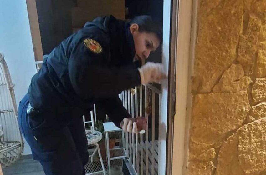  La Policía del Chubut detuvo a una persona de Trelew y secuestró armas en relación con la investigación de un violento robo a empresario de Puerto Madryn