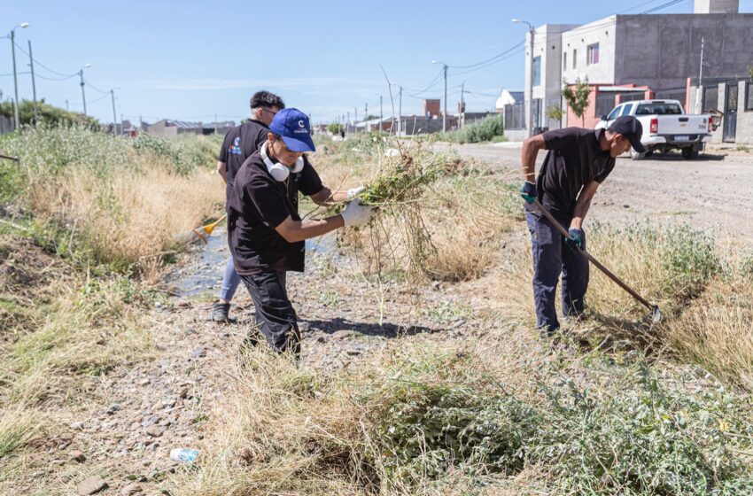  El Municipio limpió el pluvial de Kilómetro 8 ante el pedido de vecinos que denuncian que es usado como basural