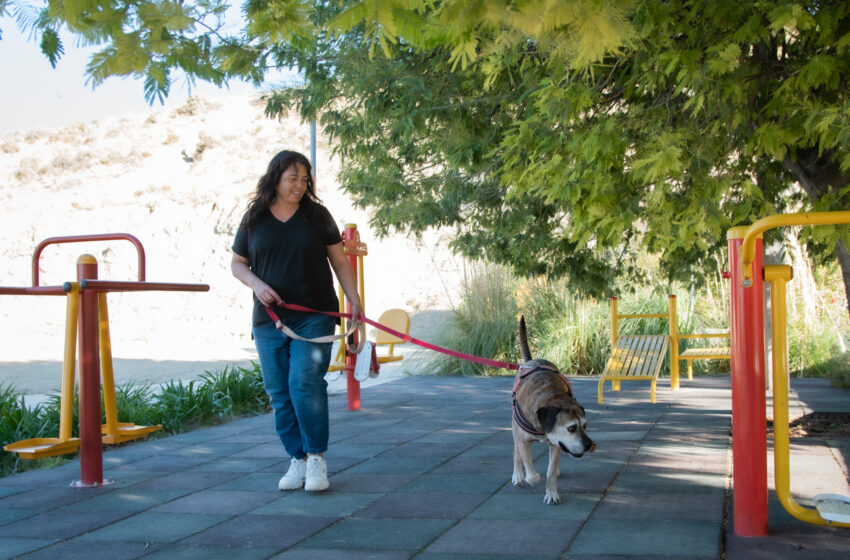  RADA TILLY APUNTA AL CUIDADO RESPONSABLE DE PERROS Y GATOS