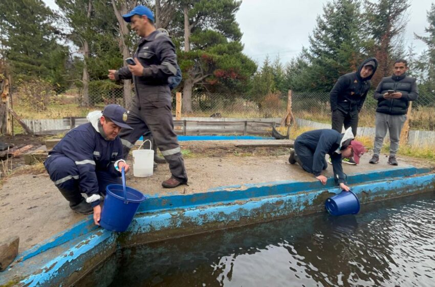  El Gobierno de la Provincia realizó siembra de peces en la Escuela Nº 568 de Corcovado