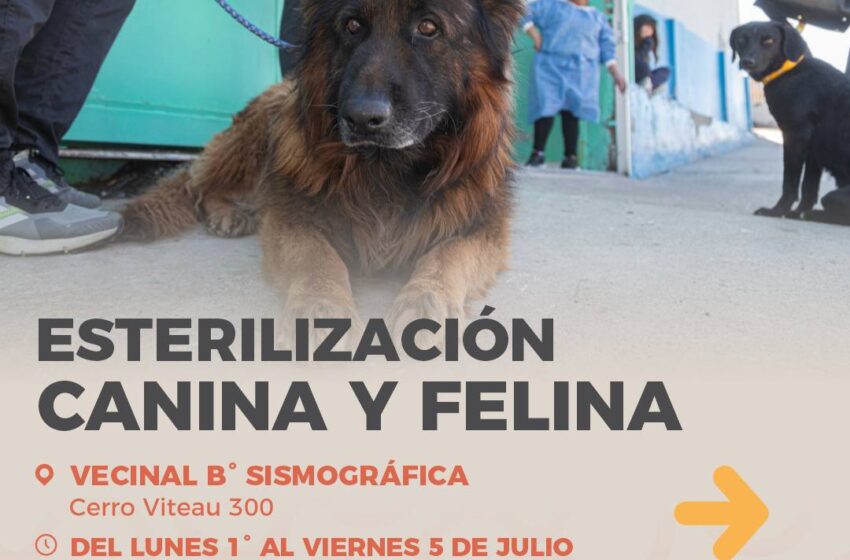  Tráiler de esterilización en Comodoro: desde este lunes 10 de junio al miércoles 19/6 en barrio Bella Vista Sur