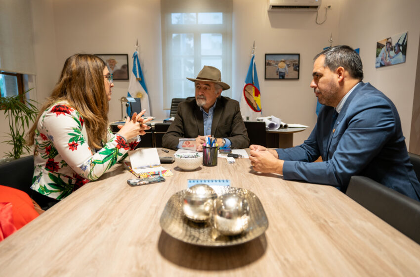  SE AVANZA EN EL PROYECTO QUE BUSCA SELLAR UN CONVENIO BINACIONAL CON CHILE PARA ATENCIÓN MÉDICA