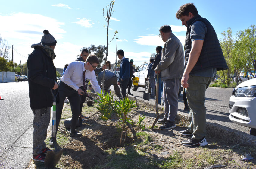 El Municipio y una congregación concretaron la plantación de árboles y arbustos en Barrio General Mosconi