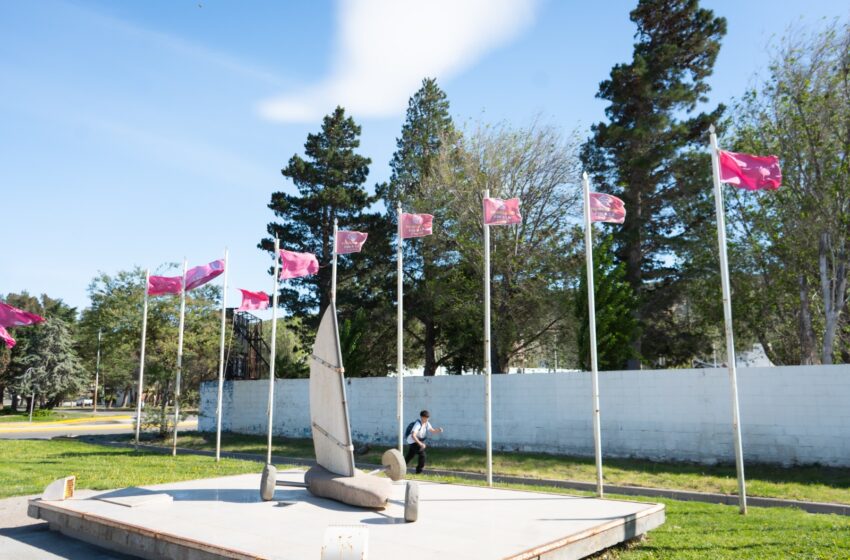  VACUNATE EN LA PLAZA: CAMPAÑA CONTRA LA POLIOMIELITIS