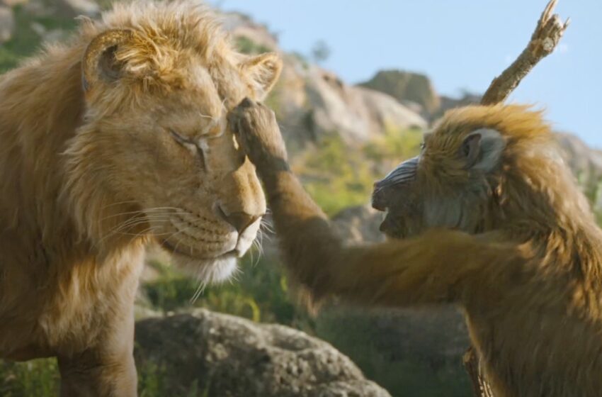  MUFASA: EL REY LEÓN