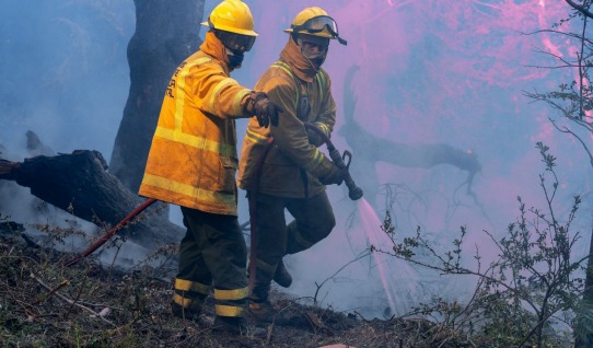 El Gobierno proyectó en Cholila el documental “El Centinela: Los Alerces Bajo Fuego”