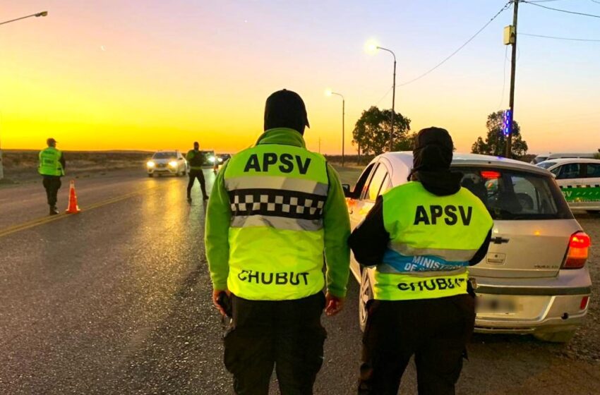  Verano Seguro: Provincia controló cerca de 10.000 vehículos y retiró a 45 conductores alcoholizados de la vía pública