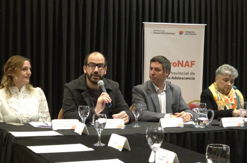  El Consejo Provincial de Niñez, Adolescencia y Familia sesionó en Comodoro