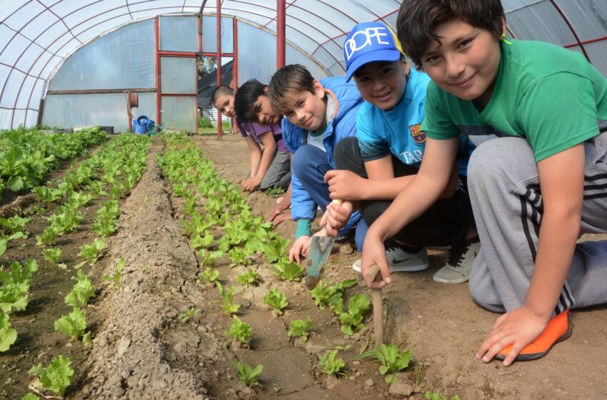  Chubut implementará un Bachillerato con Orientación en Energía y Sustentabilidad