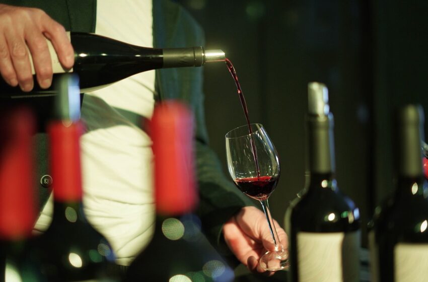  Rada Tilly se prepara para la segunda edición de la Feria Tierra, Mar y Vinos