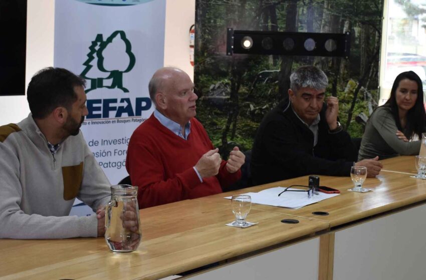  CIEFAP y FAO fortalecen el trabajo conjunto para la preservación del bosque nativo en Chubut