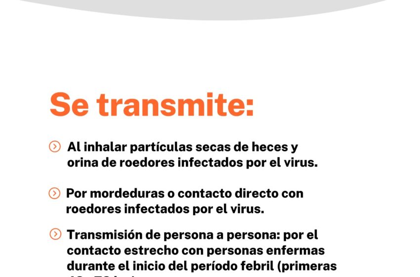 Salud: Provincia confirmó la detección de un caso de Hantavirus en la localidad de Corcovado