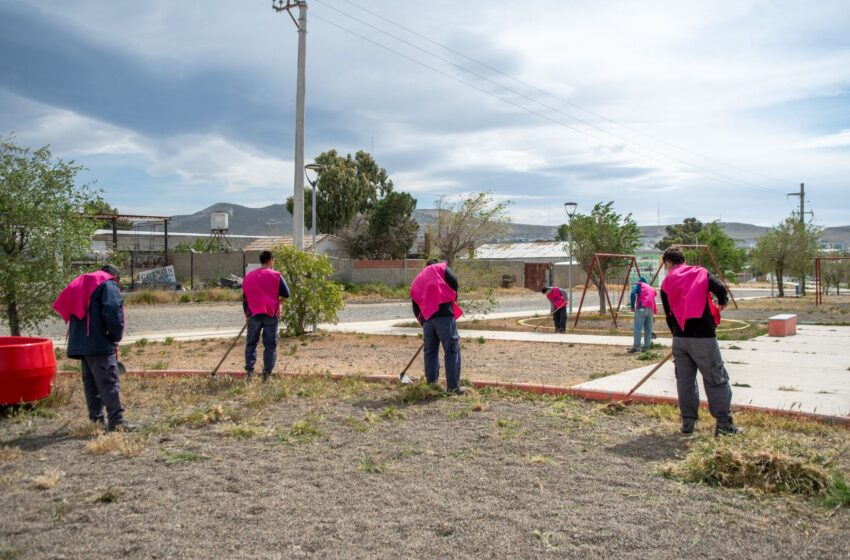  Amplio trabajo de limpieza y embellecimiento en Stella Maris