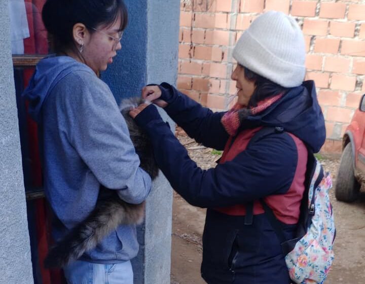  Provincia refuerza la vigilancia y el monitoreo de la Rabia Animal