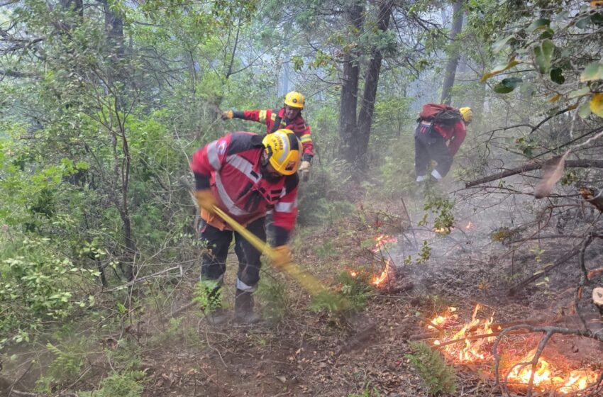  Provincia continúa con el amplio despliegue para controlar el incendio en El Pedregoso