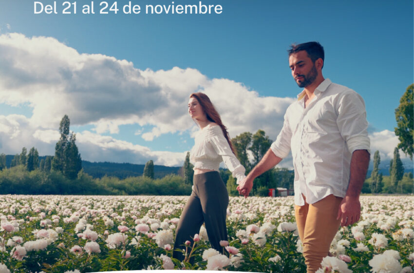  Chubut ofrece una gran variedad de propuestas y promociones para este fin de semana largo