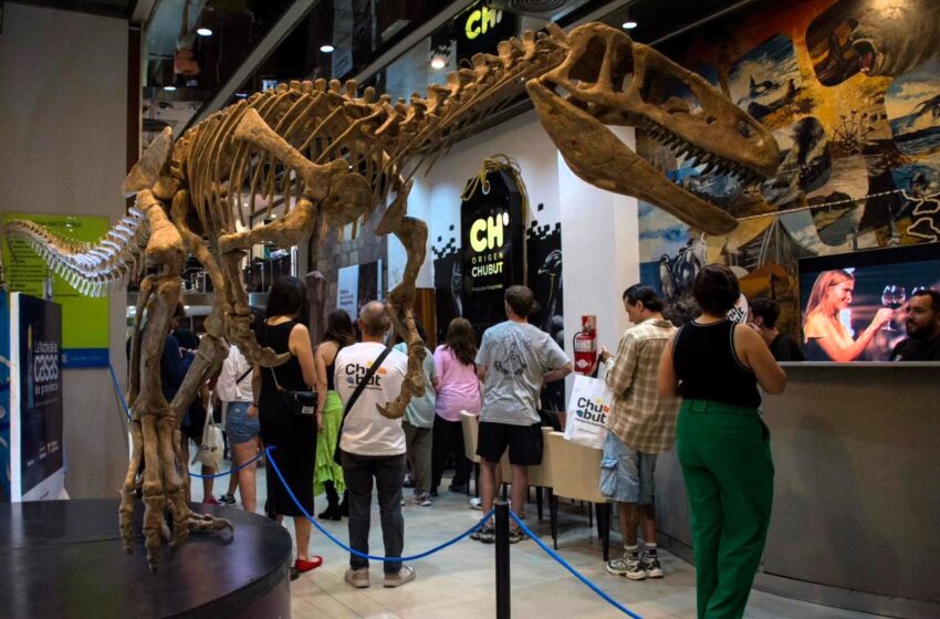  Chubut se destacó en la Noche de las Casas de Provincias en Buenos Aires