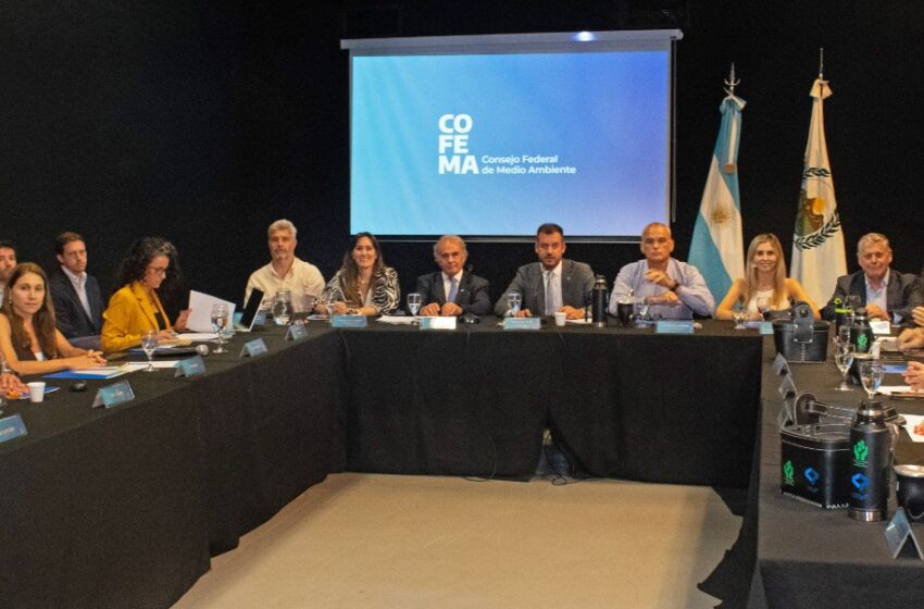  Chubut participó de una nueva asamblea del Consejo Federal de Medio Ambiente en Buenos Aires