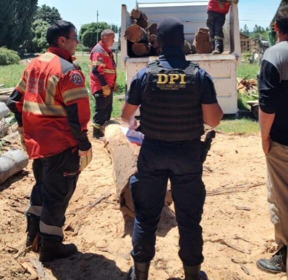  Operativo “Escudo Ecológico”: La Policía del Chubut desarticuló una red de actividad forestal ilegal en la Comarca Andina