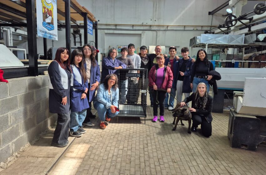  ALUMNOS DE LA EX ENET N° 2 ENTREGAN JAULA TRAMPA A VOLUNTARIA ANIMALISTA COMO PARTE DE UN PROYECTO QUE TRABAJARON TODO EL AÑO.