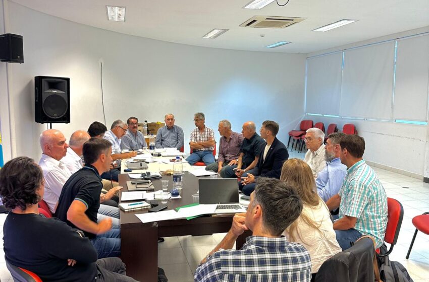  La Comisión de Sanidad Animal del Chubut avanzó en medidas para impedir propagación de la sarna ovina