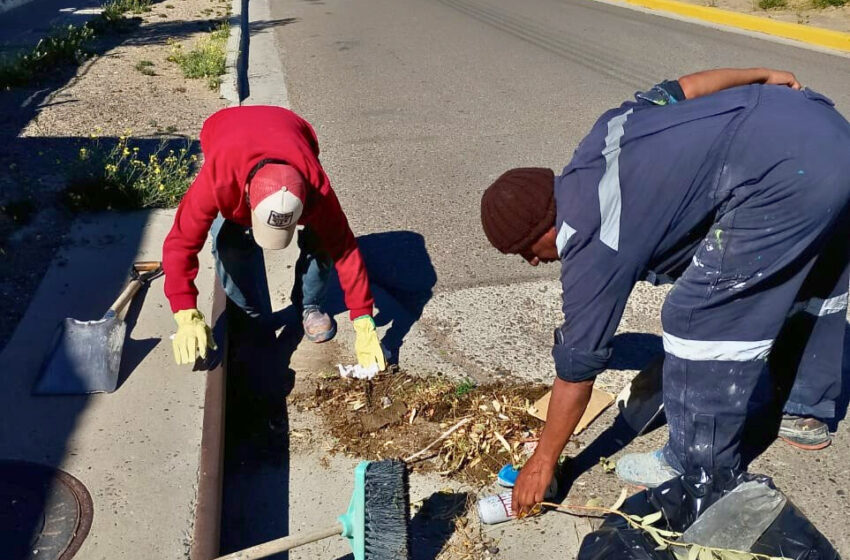  Mantenimiento preventivo: continúan las tareas de limpieza de sumideros en distintos barrios
