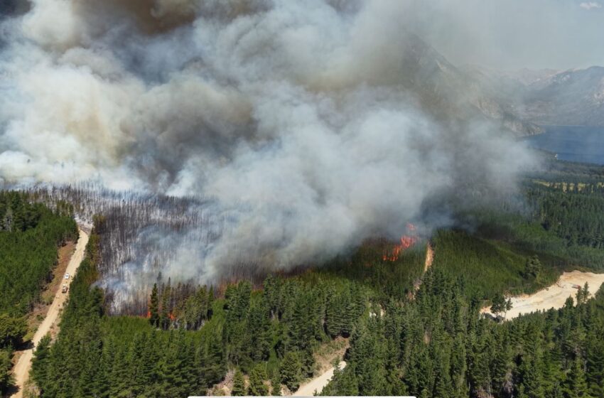  Torres se hizo presente en Puerto Patriada, donde se registra un incendio activo, y supervisó en terreno las tareas de combate y evacuación