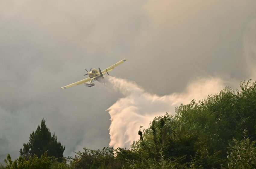  Despliegue total: cerca de 500 personas y 8 medios aéreos combaten el incendio forestal en Puerto Patriada