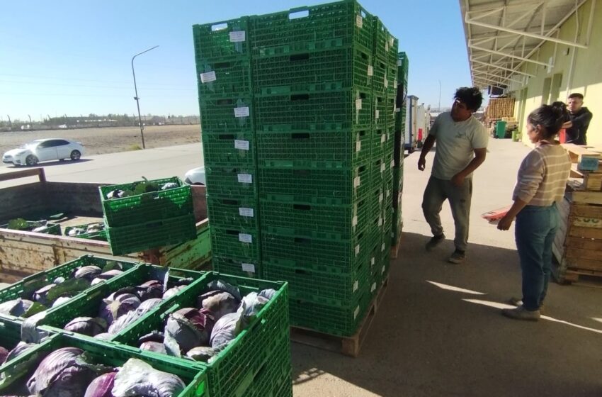  Provincia avanza en la apertura de nuevos mercados para productores del Valle Inferior del Río Chubut