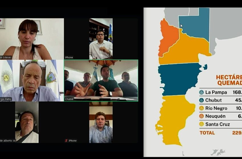  Junto a los gobernadores de la Patagonia, Torres pidió a los legisladores nacionales declarar la Emergencia Ígnea