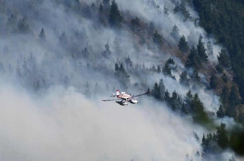  Más de 500 personas y veinte medios aéreos continuán con el combate del incendio en el Parque Nacional Los Alerces