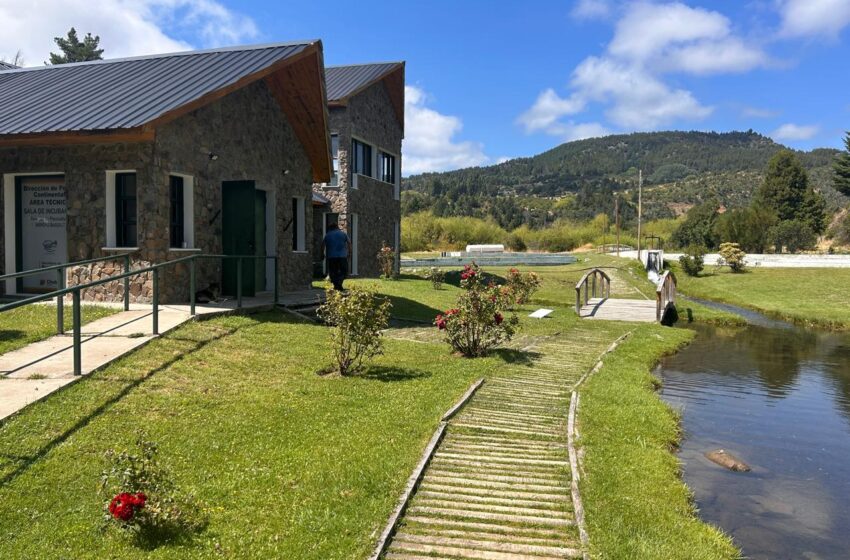  Provincia instaló antenas de internet en la Piscicultura Bagillt y en el puesto de Lago Vintter
