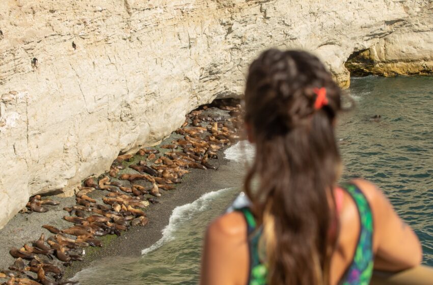  Chubut registró durante enero más de 80.000 visitas a las Áreas Naturales Protegidas