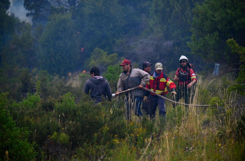  Provincia mantiene un amplio despliegue con cientos de brigadistas y recursos operativos para controlar los incendios forestales en la Cordillera