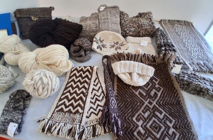  Artesanas chubutenses comenzaron a vender sus producciones en la estación de “La Trochita”