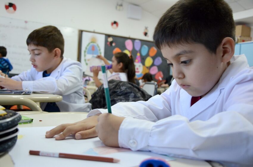  Educación informa sobre convocatoria abierta para Referentes Regionales de Alfabetización 2026 en Lengua y Matemática