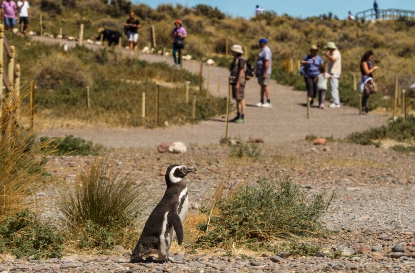  Gran movimiento turístico en Chubut durante el fin de semana largo