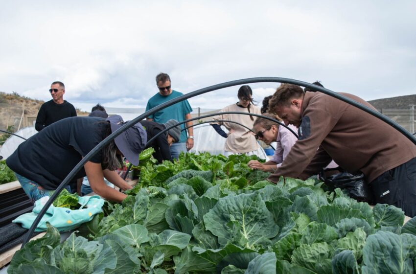  Rada Tilly abre la inscripción al Taller de Huerta Orgánica Biointensiva