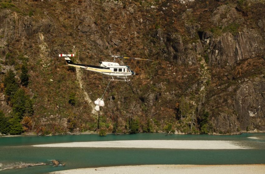  Hito en la restauración de bosque nativo: Chubut concretó el primer operativo aéreo de transporte masivo de plantines