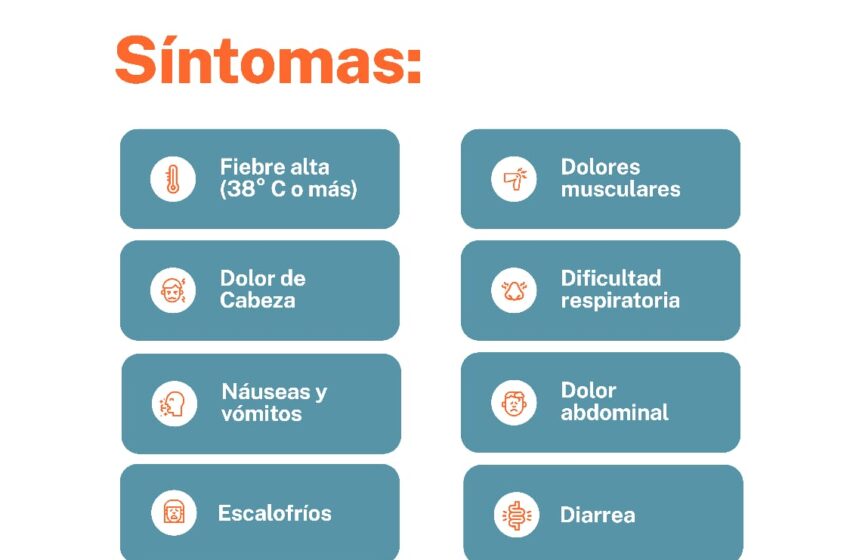  Hantavirus: Salud refuerza el operativo integral de intervención en Cerro Centinela