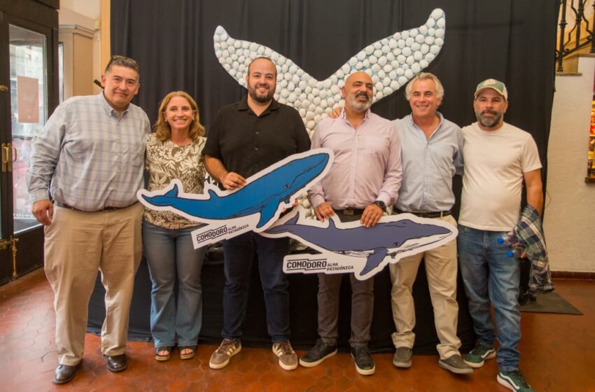  El Municipio presenta en Puerto Madryn el documental “SEI, la ballena desconocida”