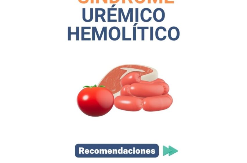  SEROS brinda recomendaciones para prevenir el Síndrome Urémico Hemolítico